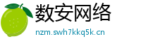 数安网络